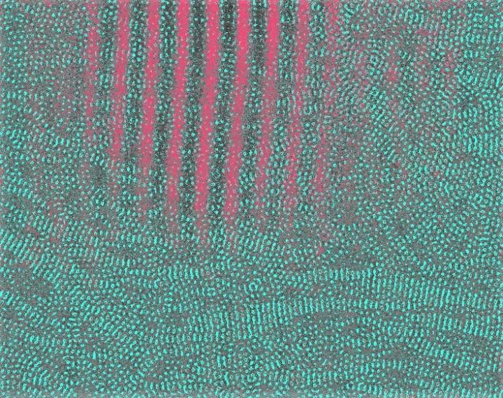 polymer plus