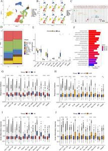 Single-cell transcriptomic profiles of PBMCs from JIA patients and HCs.