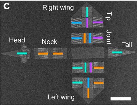 Microrobot