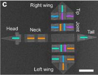 Microrobot