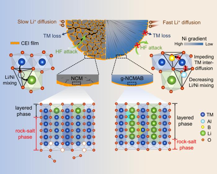 Compositional gradient design and microstructural engineering enable ultra-stable quinary Ni-rich cathodes in high-voltage pouch cells