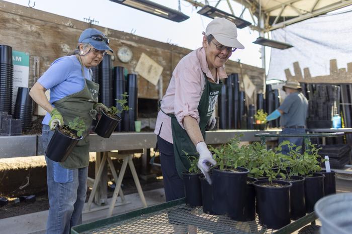 Volunteers at UC Davis Arboretum