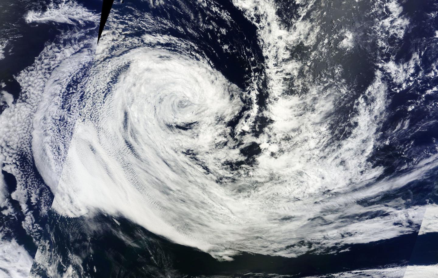 Terra Image of Carlos