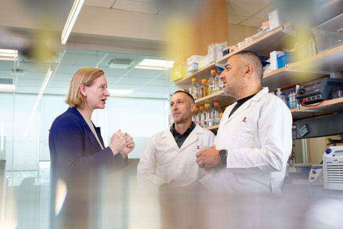 o	SPOP ‘double-donut’ structure closes the loop on unexplained cancer mutations