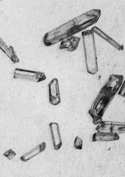 Crystals from a Purified HBCD