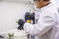 Testing the Modified Plants