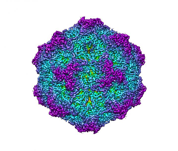 Unoccupied virus
