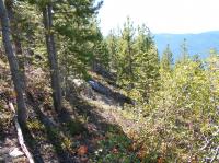 Entiat Experimental Forest (2 of 2)