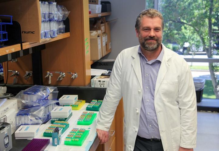 Dr. Paul O'Connor, Augusta University