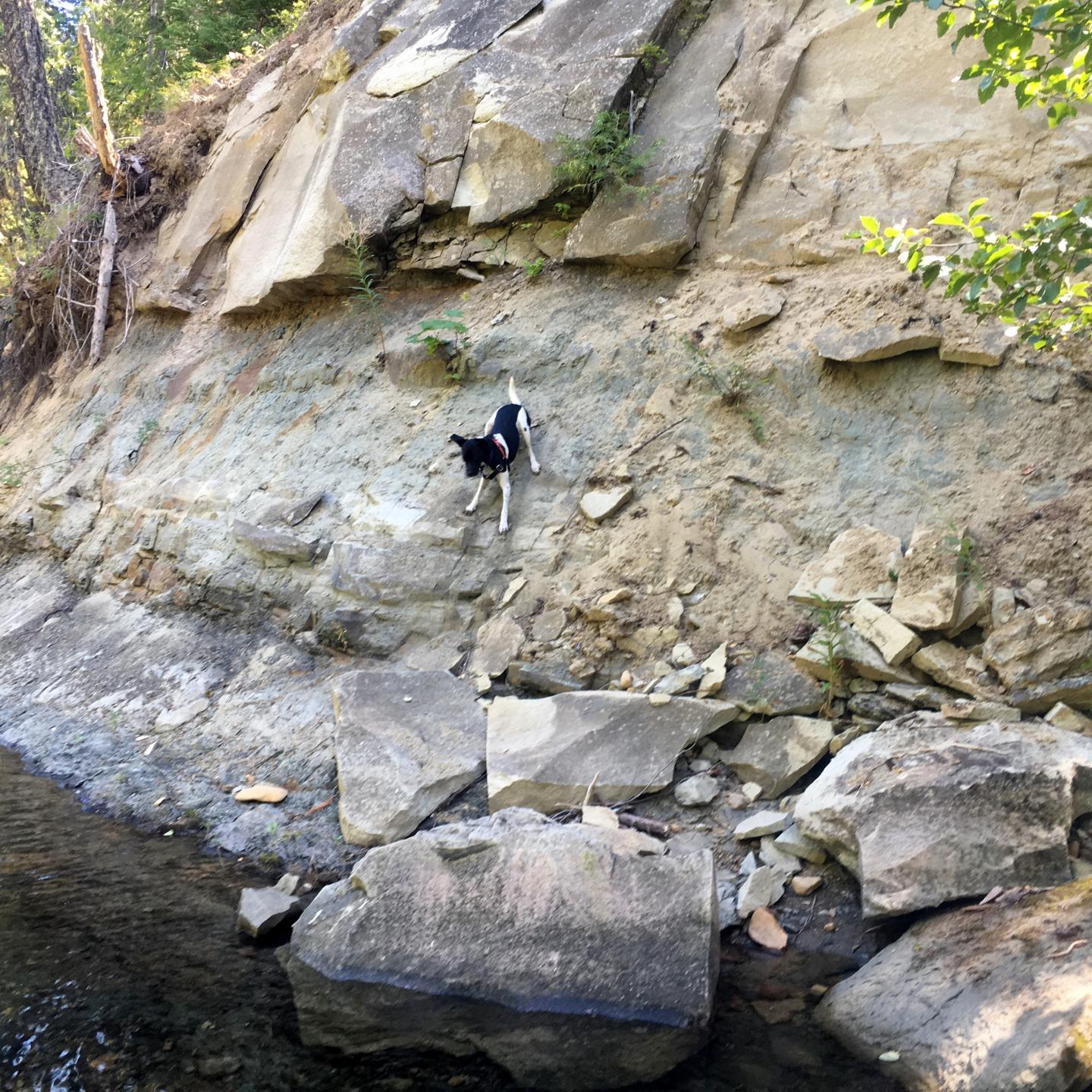 River Bank