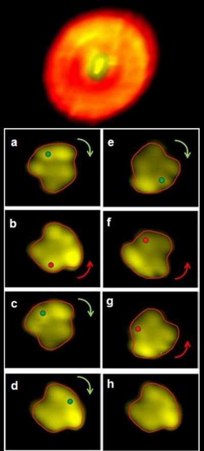 Molecular Motor (2 of 2)