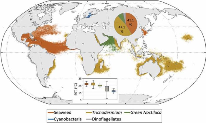 Floating algae types-Credit Qi et al