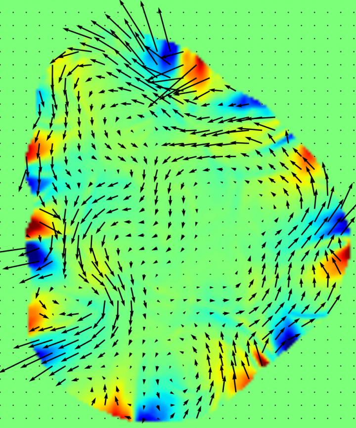 Inside the Quark-Gluon Plasma