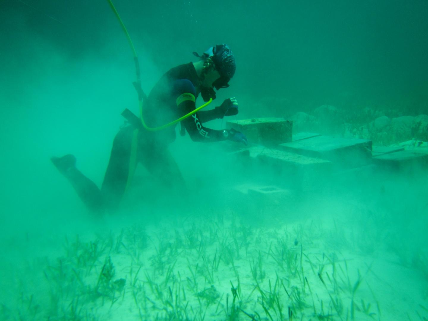 Building a Simple Reef Structure