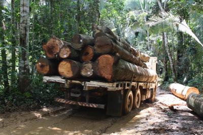 Logging truck
