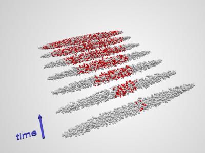1D Atom Gas