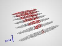 1D Atom Gas