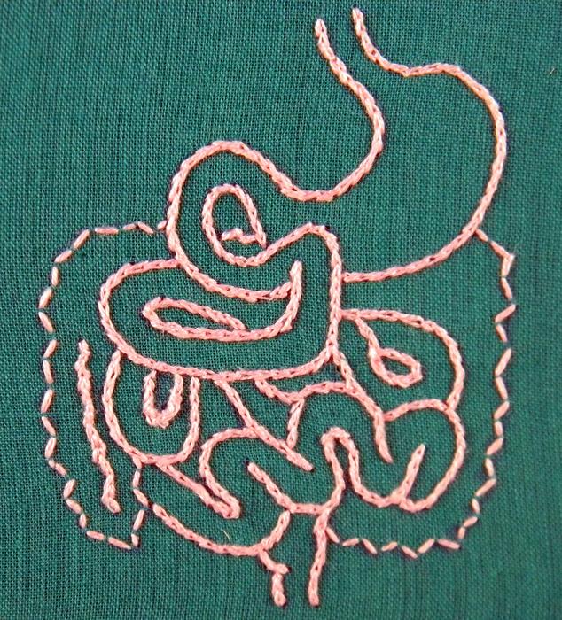 Heart disease risk tied to certain molecules made by gut microbes