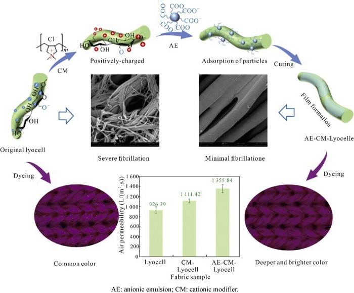Breakthrough in Anti-Fibrillation and Multifunctional Enhancement of Lyocell Fabric