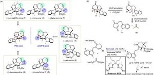 Synthesis of seven quebracho indole alkaloids using "antenna ligands" in 7-10 steps, including three first-ever asymmetric syntheses