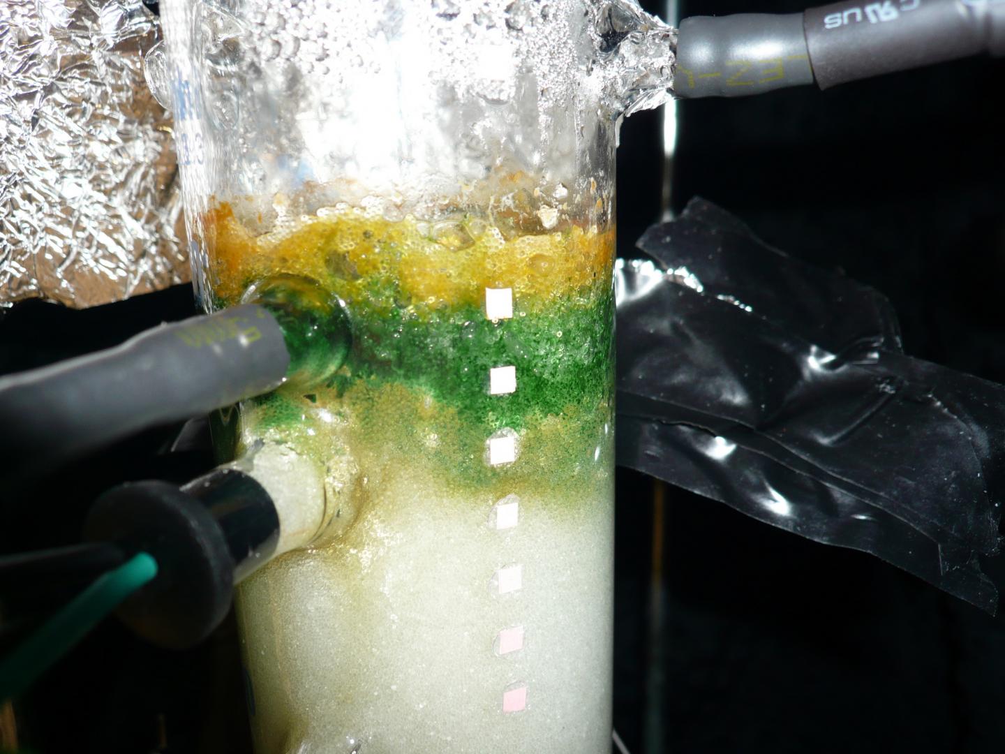 Modeling the Prehistoric Ocean