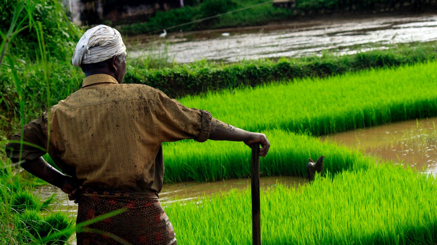 Rural Community in India