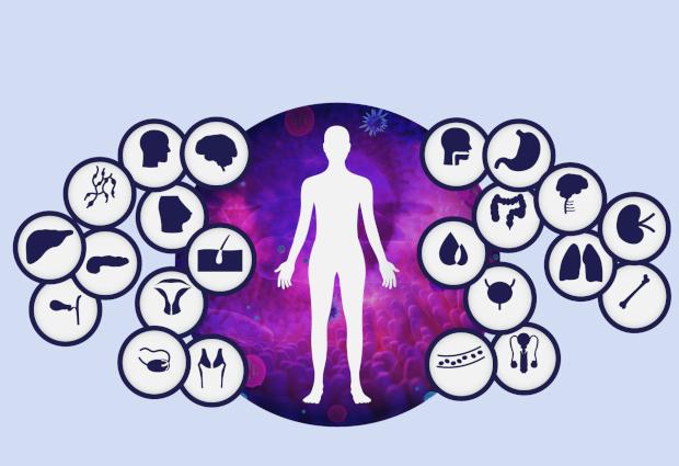 Cancer Types Studied in the Pan-Cancer Project