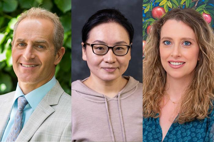Three Tufts Professors Are Named Top Researchers in the World