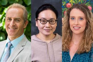 Three Tufts Professors Are Named Top Researchers in the World