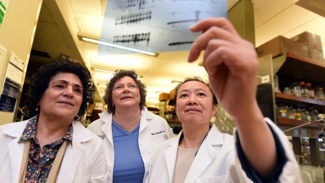 Drs. Nahid Mivechi (from left), Nita Maihle and Lan Ko