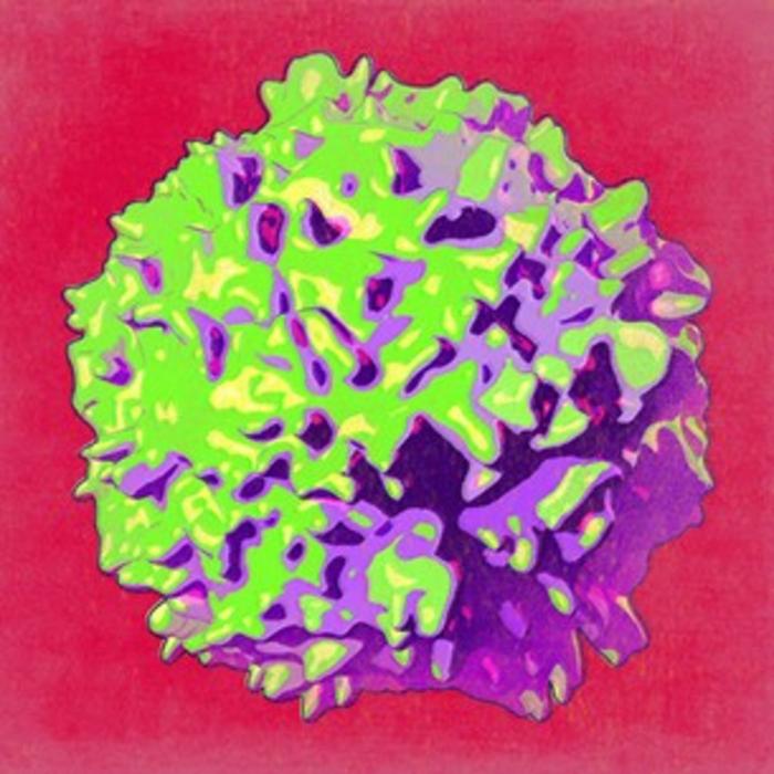 Role of group 2 innate lymphoid cells (ILC2s) in neural–immune crosstalk