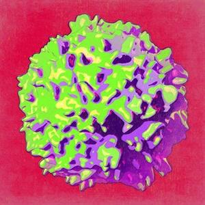 Role of group 2 innate lymphoid cells (ILC2s) in neural–immune crosstalk