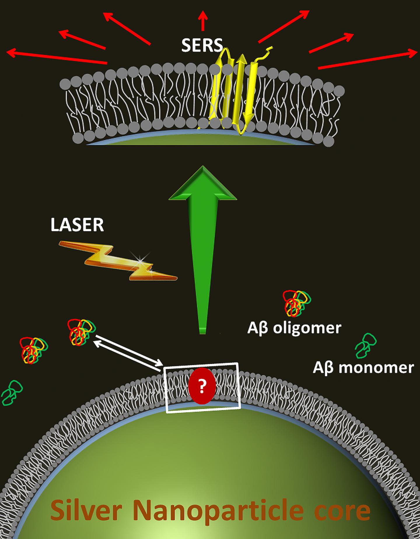 Glitter from Silver Lights up Alzheimer's Dark Secrets