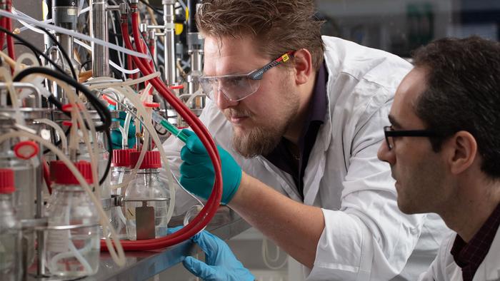 Turning wastewater into valuable proteins