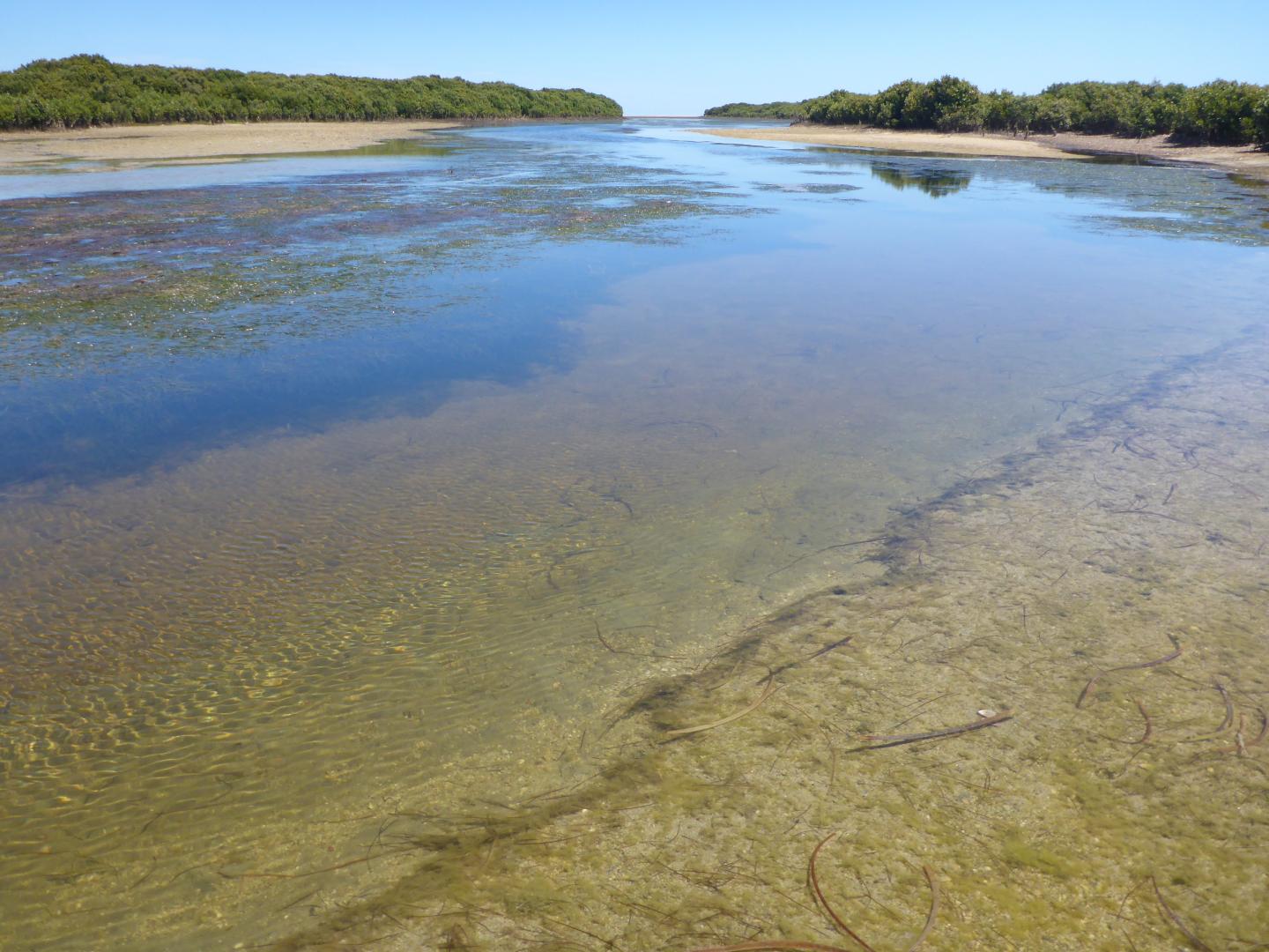 Middle Beach creek