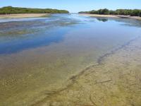 Middle Beach creek