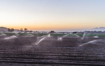 California Farms