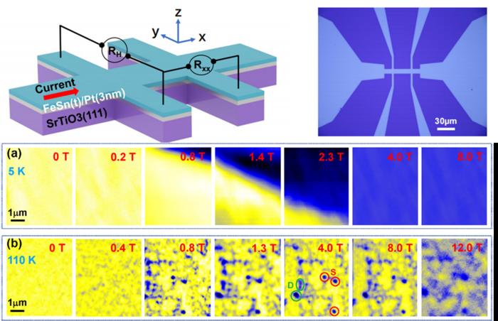Anomalous Magnetoresistance Observed in an Antiferromagnetic Kagome Semimetal