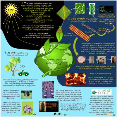 Winning Poster