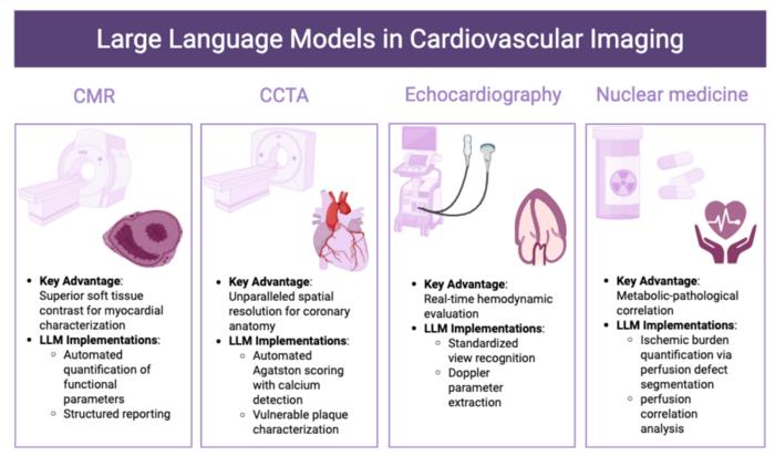 Schematic overview of large language model (LLM) applications across major cardiovascular imaging modalities