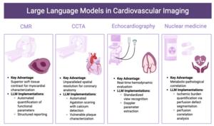 Schematic overview of large language model (LLM) applications across major cardiovascular imaging modalities