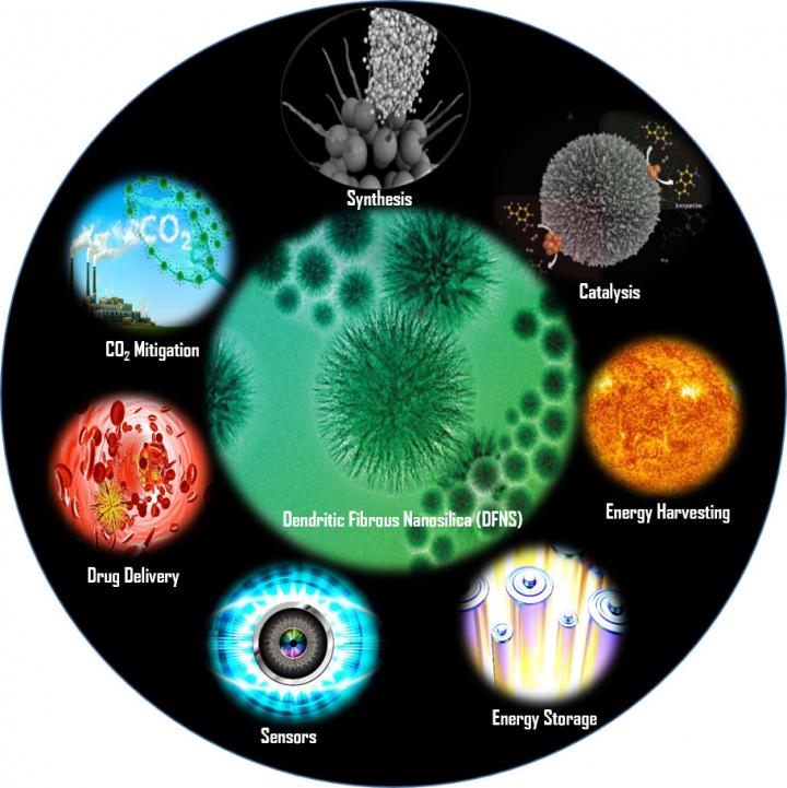 DFNS: All-in-One Nanomaterial