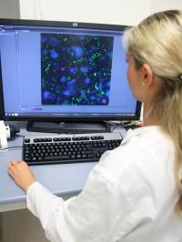 Mareike Klinger-Strobel Microscopes Biofilms