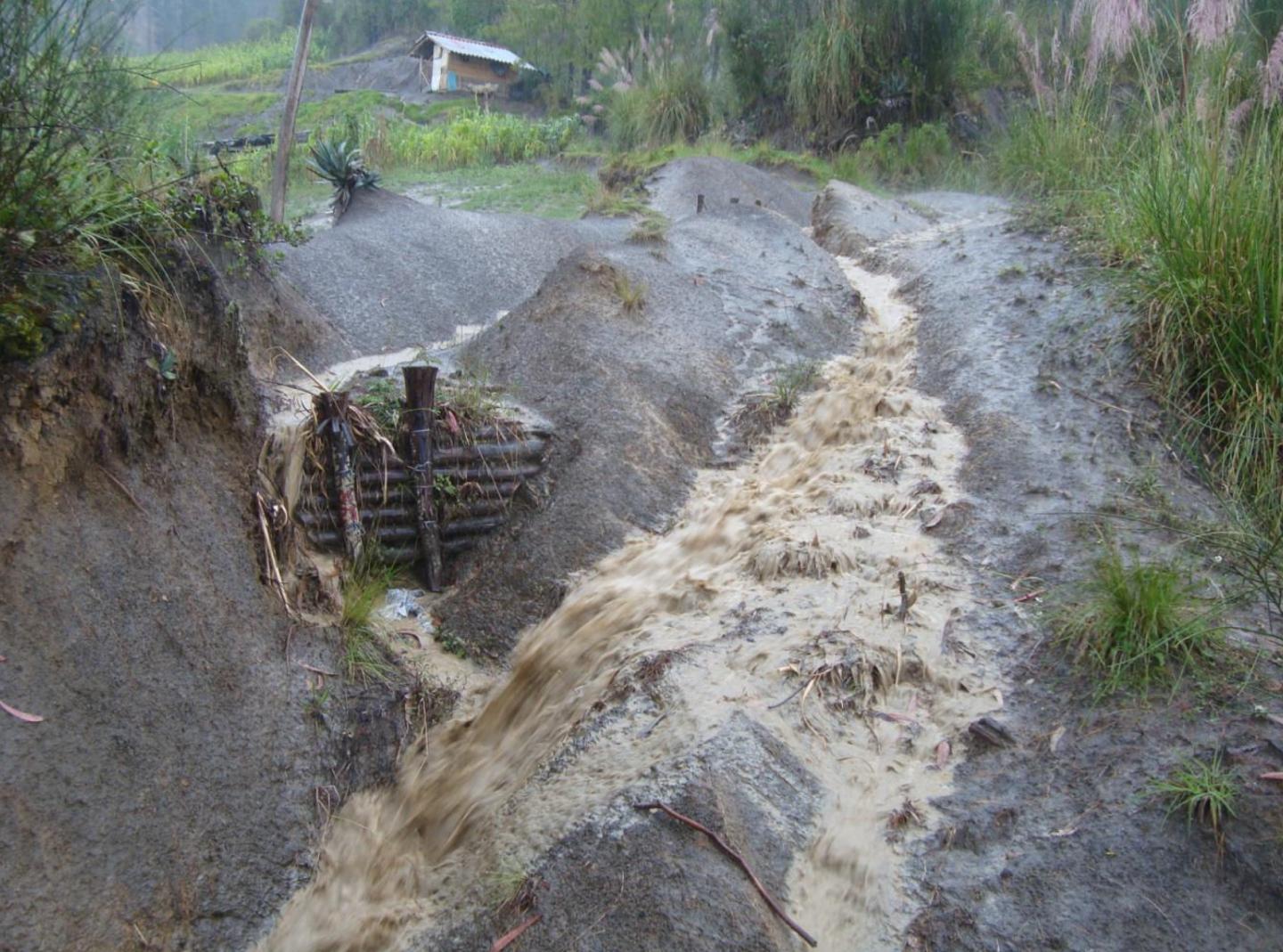 Erosion Control