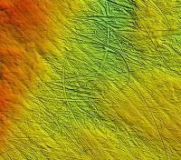 Loop-Shaped Iceberg Plough Mark