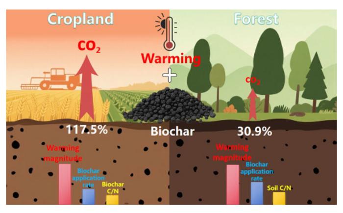 Warming increases CO2 emissions in biochar-amended cropland soil