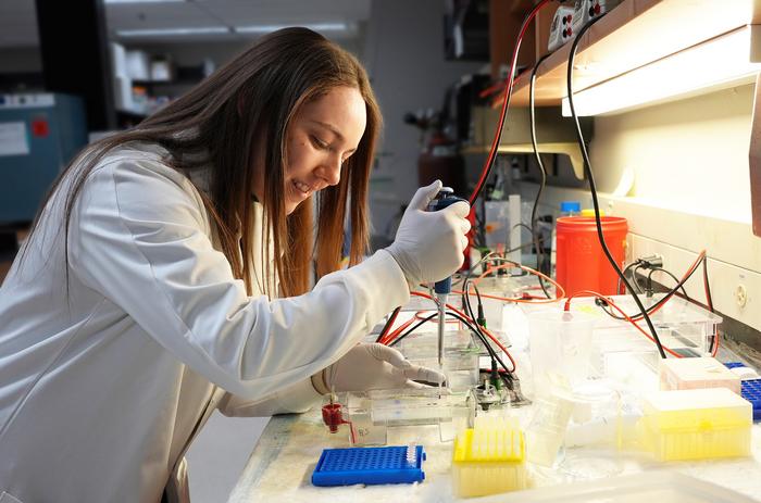 Dr. Lauren Wensing conducts testing on Candida albicans cultures