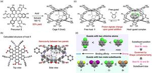 Figure 2. Synthesis of the molecular cage and reversible encapsulation of guest molecules.