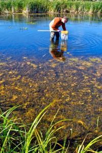Freshwater Sampling