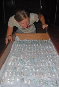 Eggs After Sorting